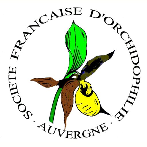 SFO-Auvergne