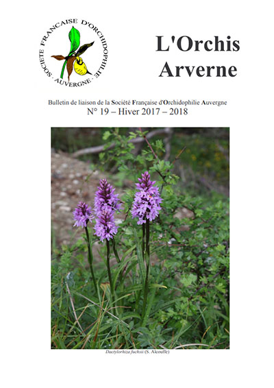 Orchis Arverne numéro 19