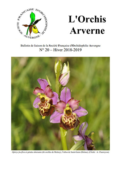 Orchis Arverne numéro 20